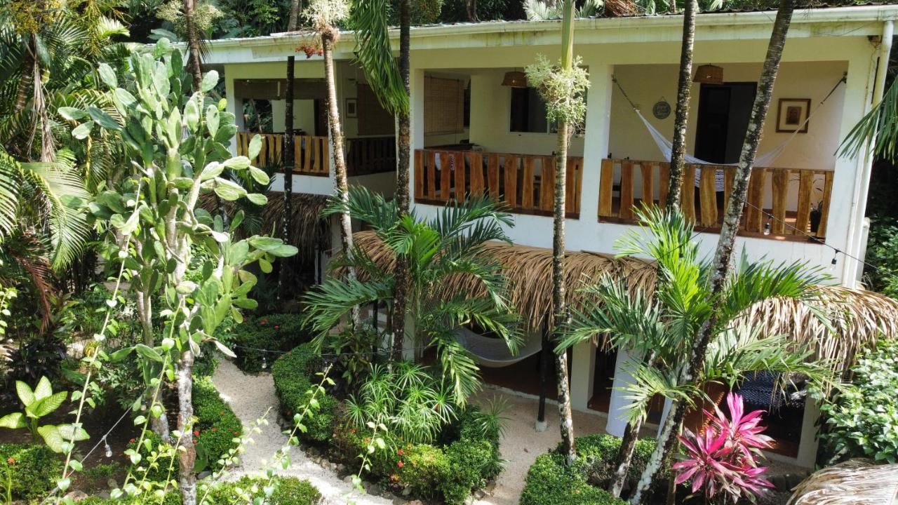 Colibri Apartments - 4 Min Walk To The Beach! Playa Santa Teresa (Puntarenas) Exterior foto