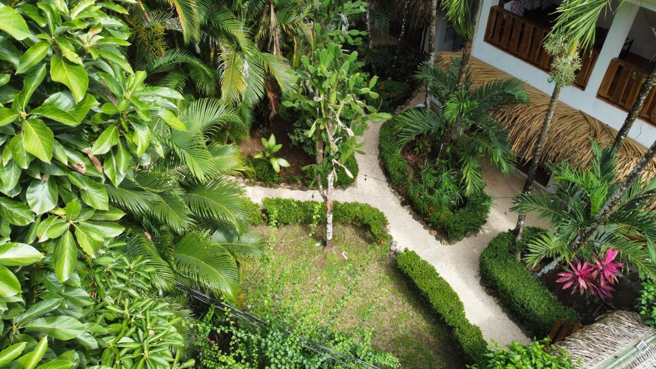 Colibri Apartments - 4 Min Walk To The Beach! Playa Santa Teresa (Puntarenas) Exterior foto