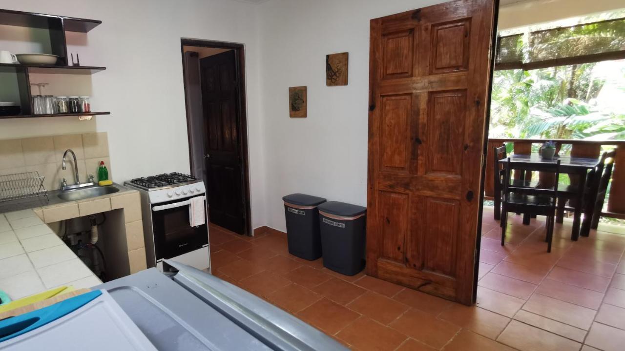 Colibri Apartments - 4 Min Walk To The Beach! Playa Santa Teresa (Puntarenas) Exterior foto