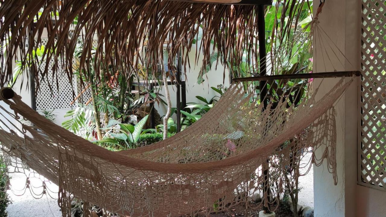 Colibri Apartments - 4 Min Walk To The Beach! Playa Santa Teresa (Puntarenas) Exterior foto