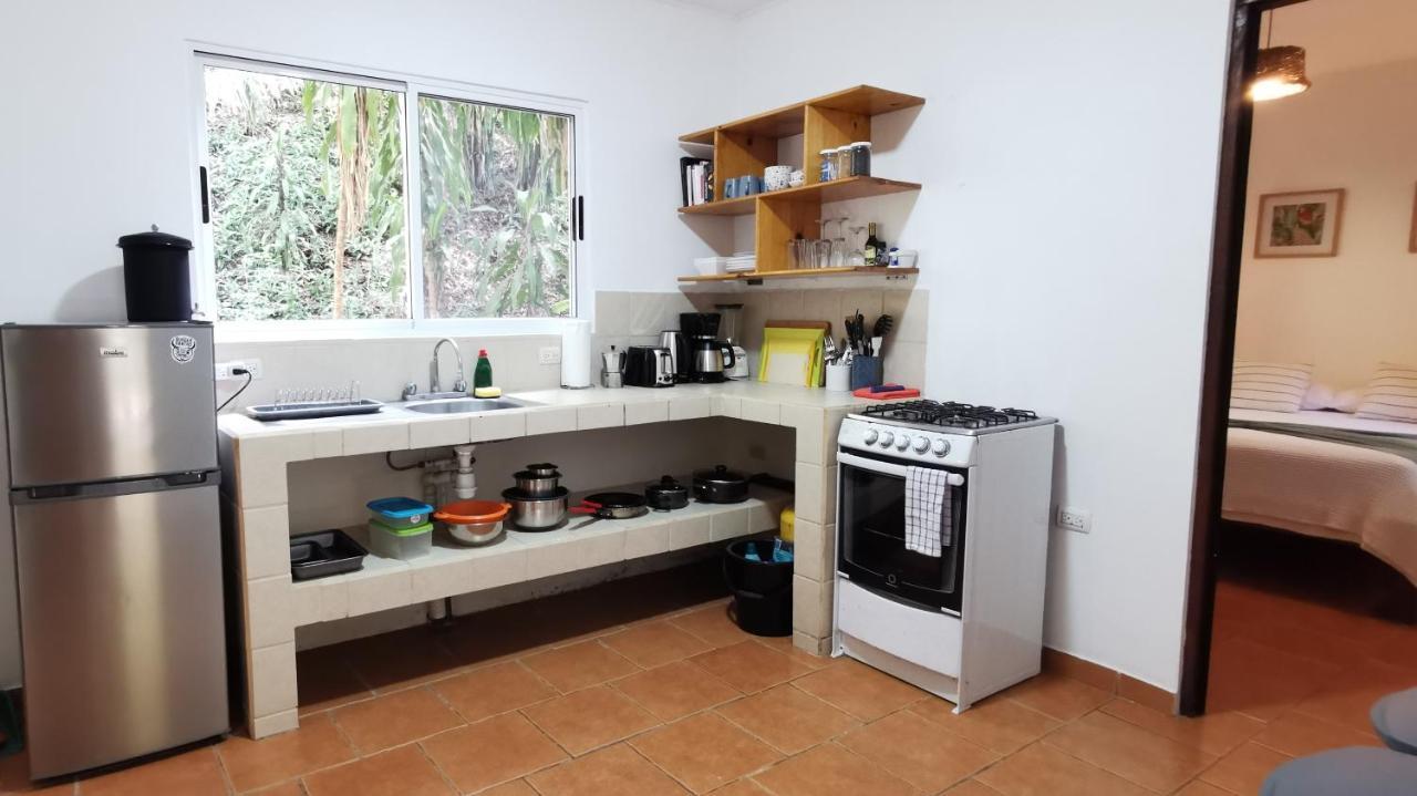 Colibri Apartments - 4 Min Walk To The Beach! Playa Santa Teresa (Puntarenas) Exterior foto