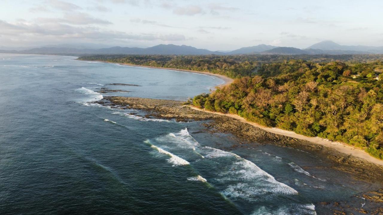 Colibri Apartments - 4 Min Walk To The Beach! Playa Santa Teresa (Puntarenas) Exterior foto