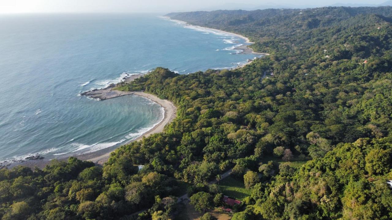 Colibri Apartments - 4 Min Walk To The Beach! Playa Santa Teresa (Puntarenas) Exterior foto