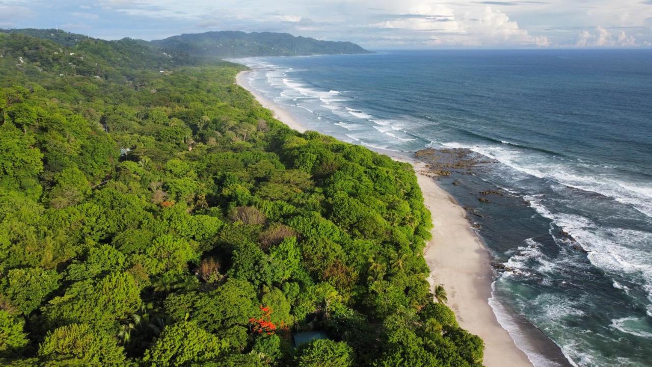 Colibri Apartments - 4 Min Walk To The Beach! Playa Santa Teresa (Puntarenas) Exterior foto