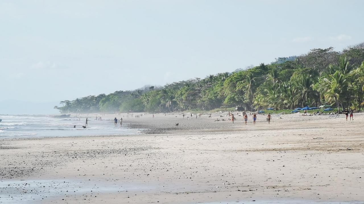 Colibri Apartments - 4 Min Walk To The Beach! Playa Santa Teresa (Puntarenas) Exterior foto