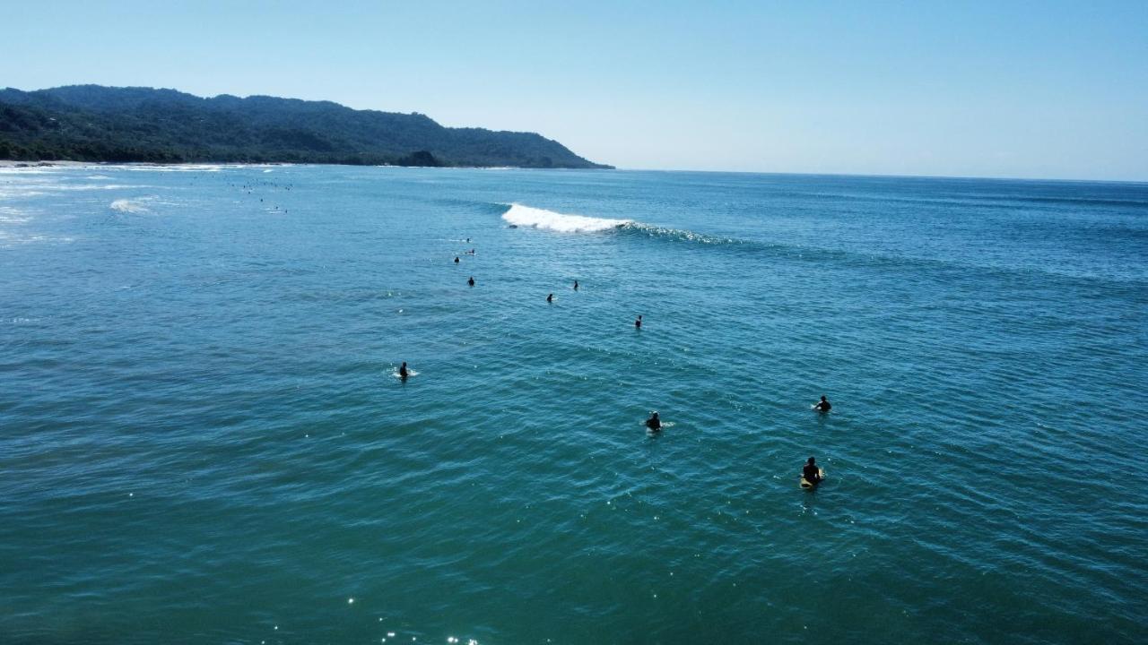 Colibri Apartments - 4 Min Walk To The Beach! Playa Santa Teresa (Puntarenas) Exterior foto