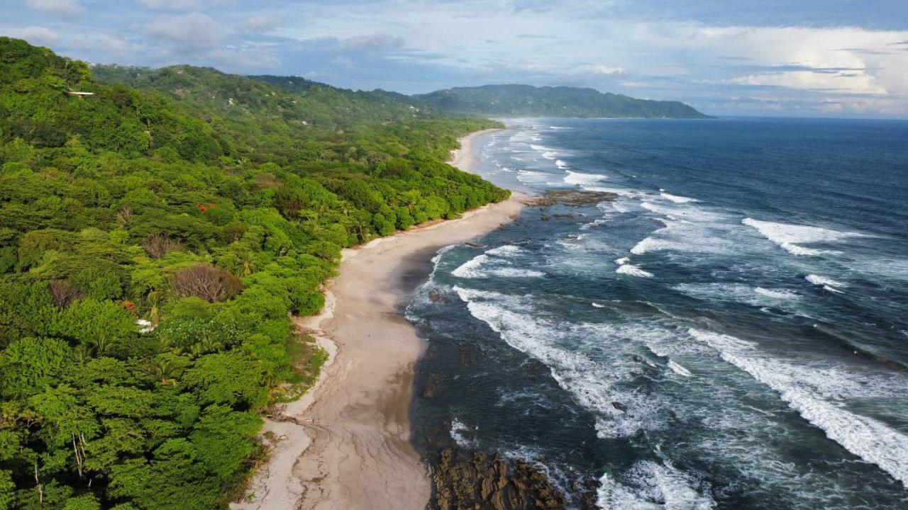 Colibri Apartments - 4 Min Walk To The Beach! Playa Santa Teresa (Puntarenas) Exterior foto