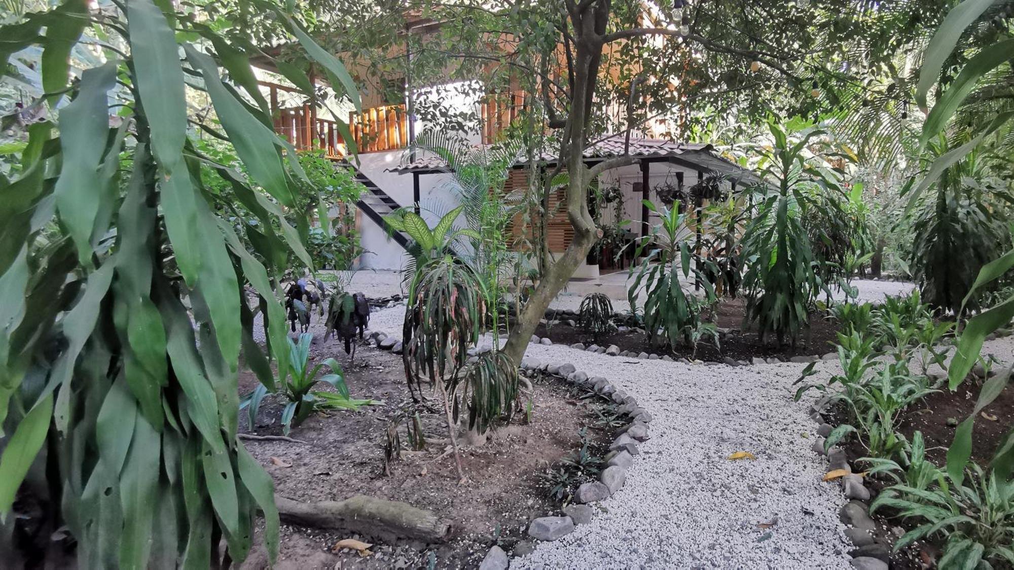 Colibri Apartments - 4 Min Walk To The Beach! Playa Santa Teresa (Puntarenas) Quarto foto