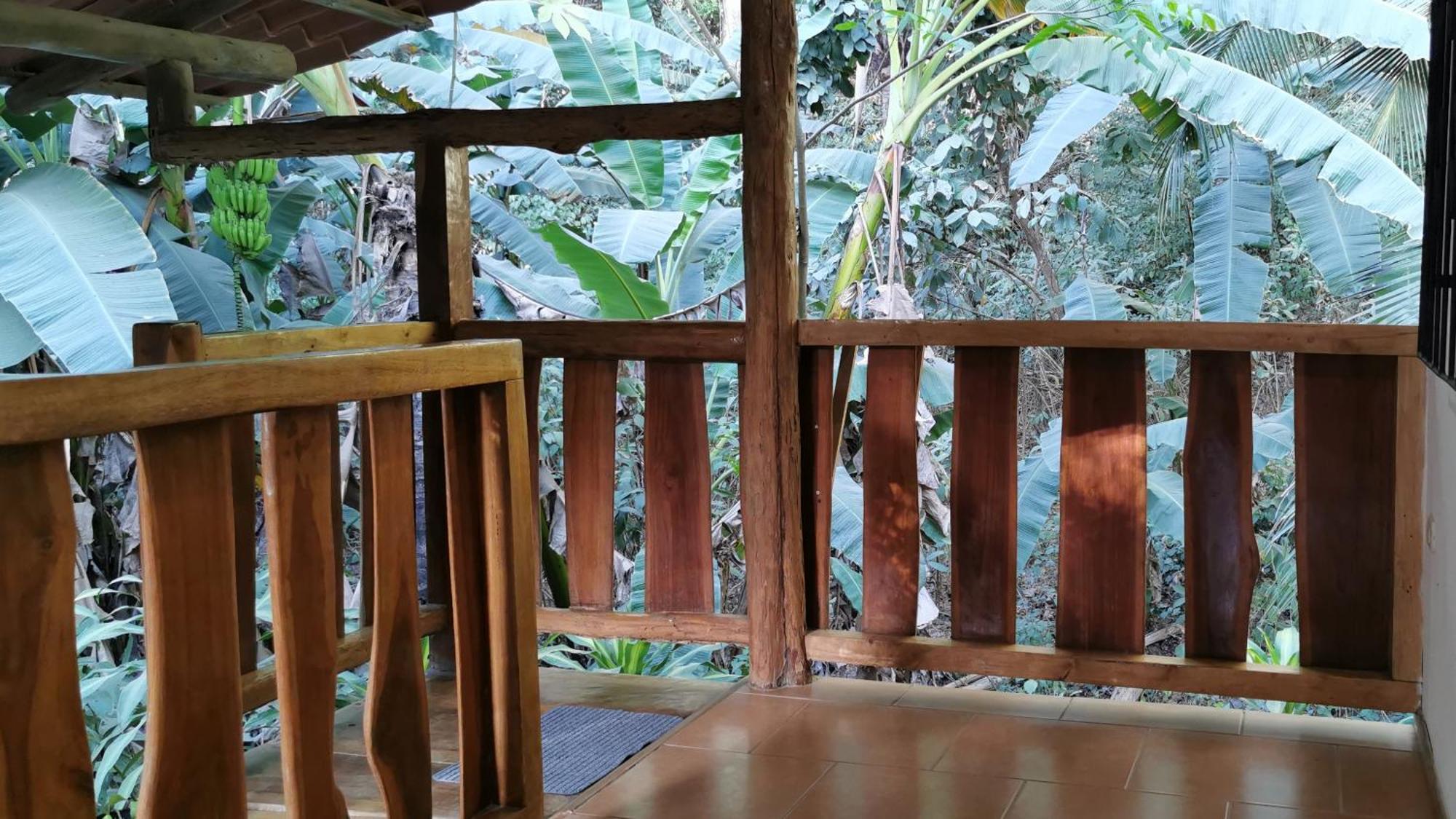 Colibri Apartments - 4 Min Walk To The Beach! Playa Santa Teresa (Puntarenas) Quarto foto