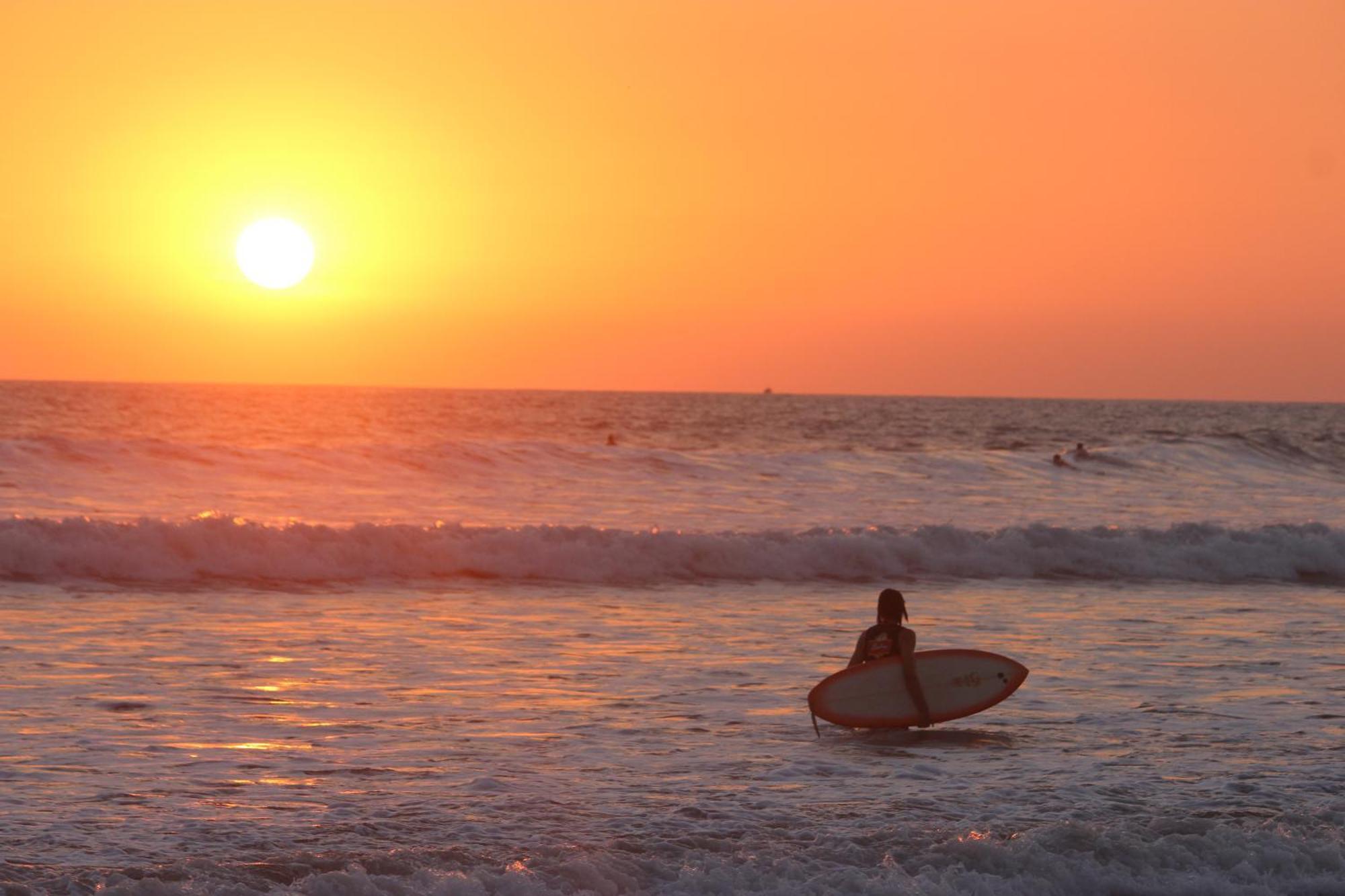 Colibri Apartments - 4 Min Walk To The Beach! Playa Santa Teresa (Puntarenas) Exterior foto