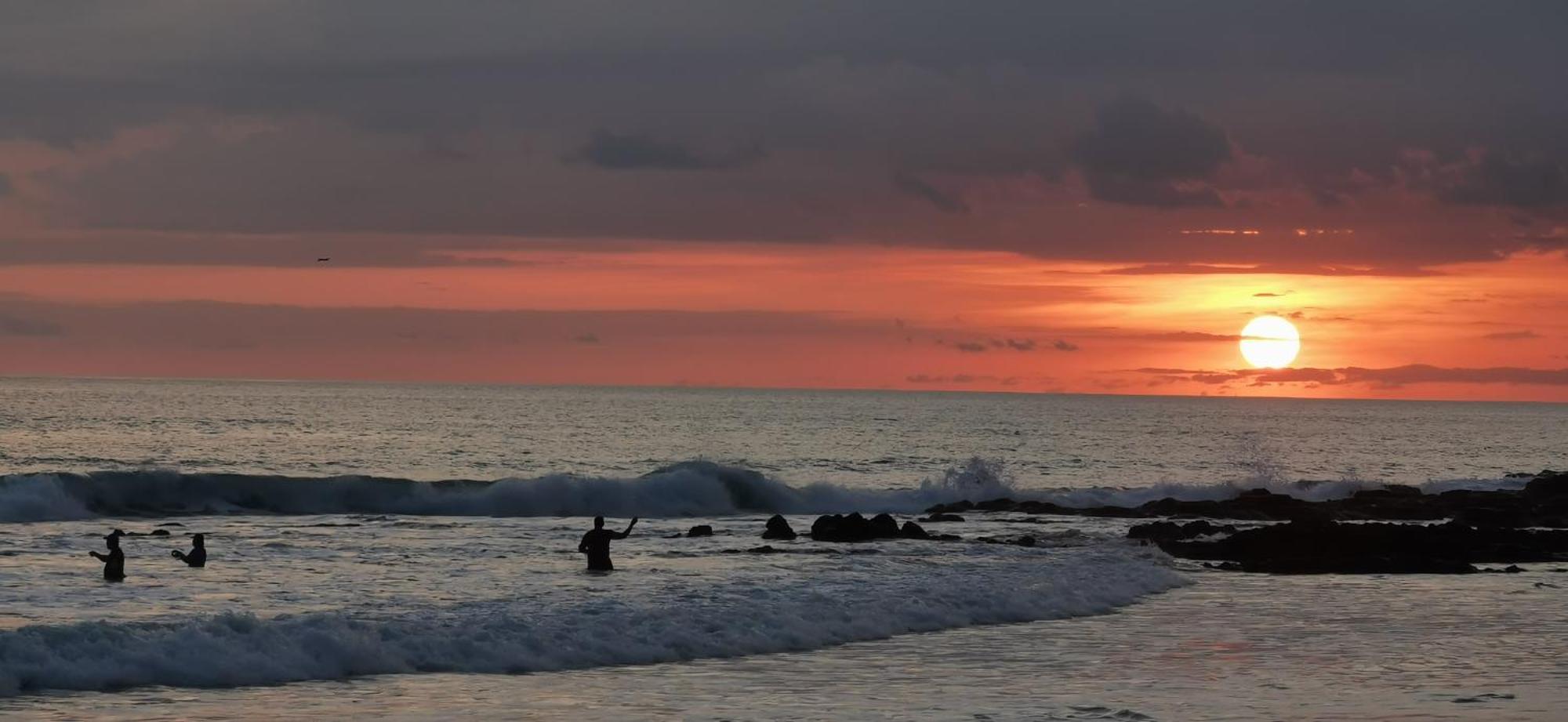 Colibri Apartments - 4 Min Walk To The Beach! Playa Santa Teresa (Puntarenas) Exterior foto