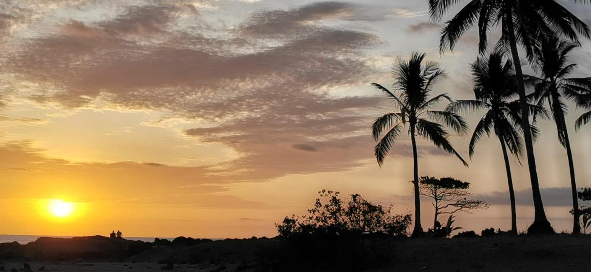 Colibri Apartments - 4 Min Walk To The Beach! Playa Santa Teresa (Puntarenas) Exterior foto