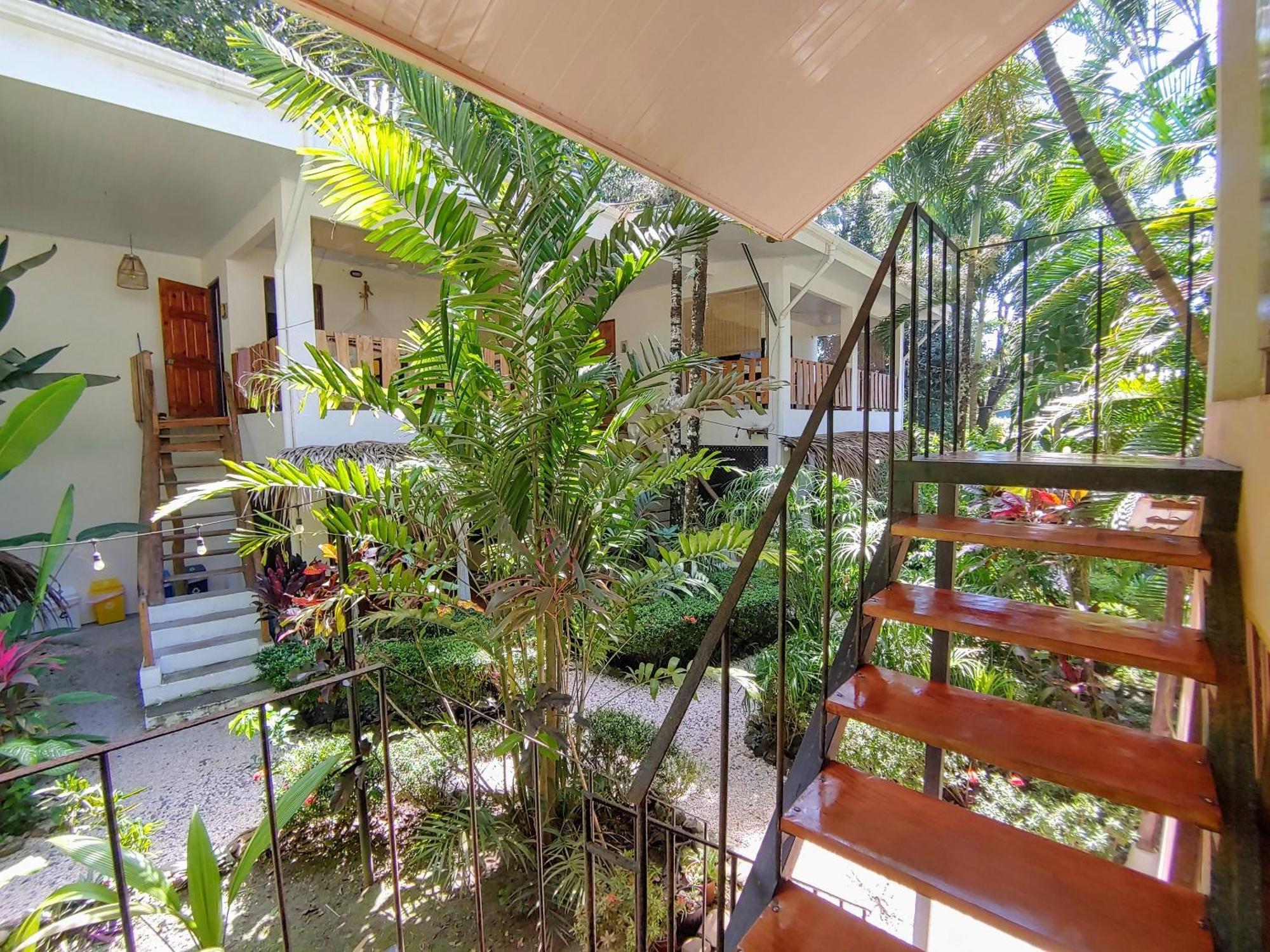Colibri Apartments - 4 Min Walk To The Beach! Playa Santa Teresa (Puntarenas) Exterior foto